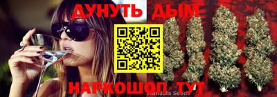 дурь Будённовск