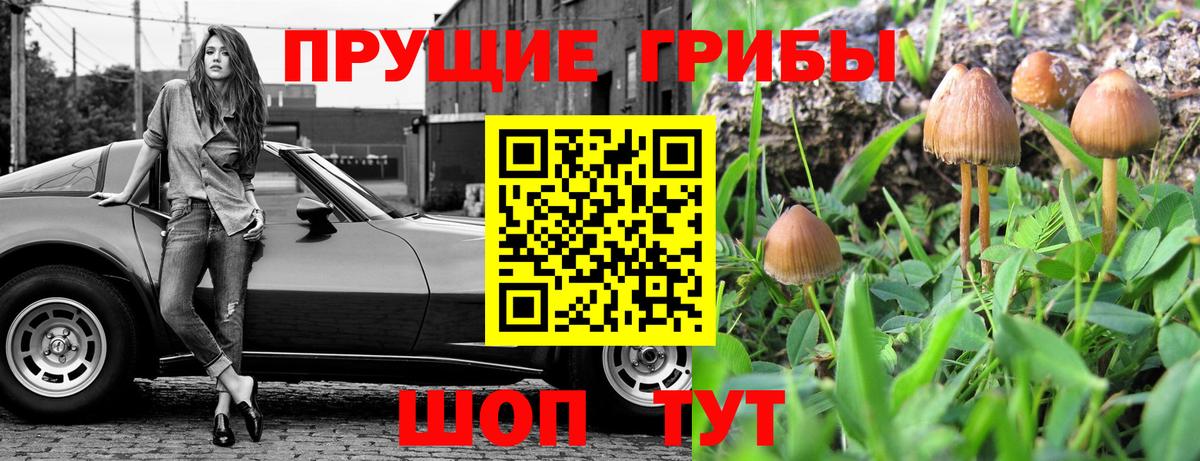 Псилоцибиновые грибы мицелий  Вход с VPN  Саратов 