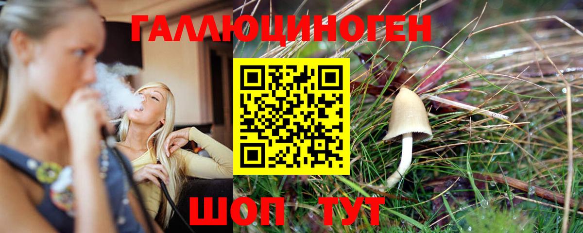 Галлюциногенные грибы Psilocybe Саратов